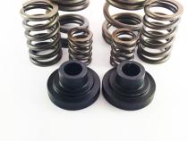 Dodge 94-98 P-Pump 3,000 and 4,000 RPM Governor Spring Kit Dynomite Diesel