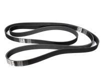 Serpentine Belt - 2003-2012 Ram 5.9L/6.7L Single Alt - Stock Length Belt 3227mm 8 Rib Pacific Performance Engineering